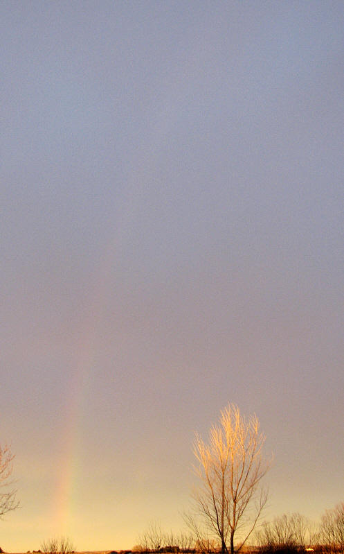 rainbow01.jpg